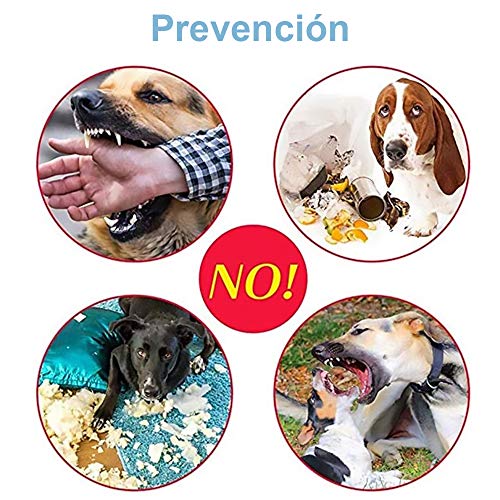 Yommy Bozal Ajustable para Perros Malla Transpirable Nylon (22-28cm)