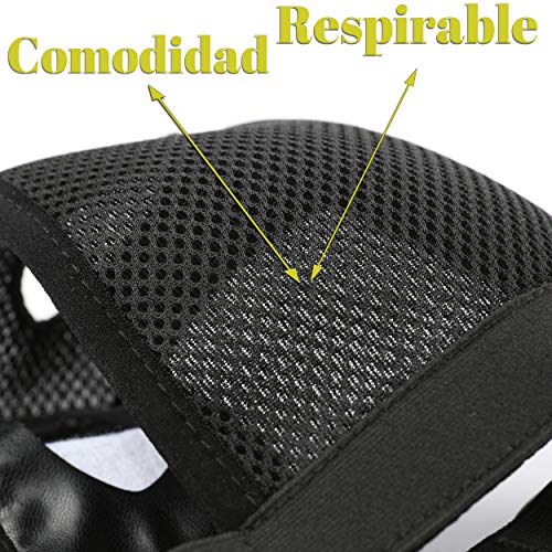 Yommy Braquitas higienicas para Perras Pañales Reutilizables para Perras Lavable Negro Talla 0 Cintura 20-25cm