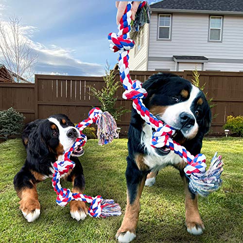 Youngever Juguetes de cuerda para perros agresivos, Juguetes Resistentes Para Perros Grandes Y Medianos, Cuerda Irrompible Para Perros De Razas Grandes, Para Tirar De La Cuerda, Limpiar Los Dientes