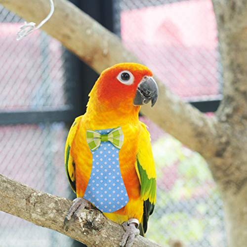 YOUTHINK Pañal de Pájaros Pañal de Pájaro Reutilizable para Loro Paloma Cacatúas Periquito Canario Periquito Lovebird Trajes de Vuelo Pañal Traje de Vuelo(S-Azul)