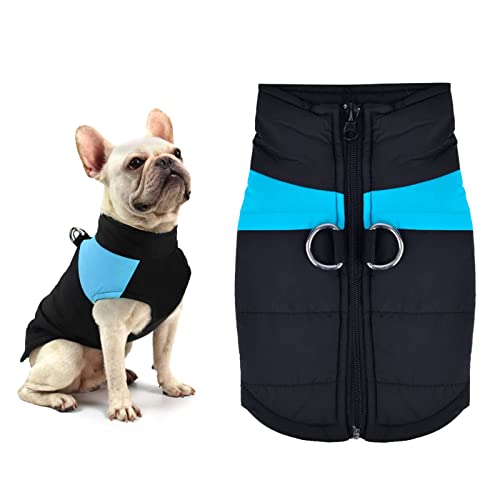 YOUYIKE Chaqueta de Invierno para Perros, Chaqueta Cálida para Mascotas, Abrigo para Perro Impermeable, Abrigo para Perros Chaqueta Cálida para Perros Pequeños y Medianos (M, Azul)