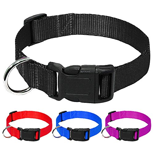 YUEHAN Collar De Perro 20 Unids/Lote, Venta Al por Mayor, Collar De Nailon para Perros, Collares Ajustables Baratos para Perros, para Mascotas Pequeñas Y Medianas, Gatos, Rojo, Azul, Negro, Púrpura