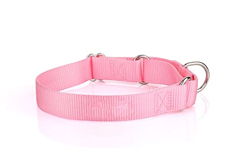 YUEHAN Collar De Perro Collar De Perro De Nailon Martingala Resistente Ajustable Suave Cómodo Collar De Mascota para Cachorros para Perros Pequeños Y Grandes Control De Traning