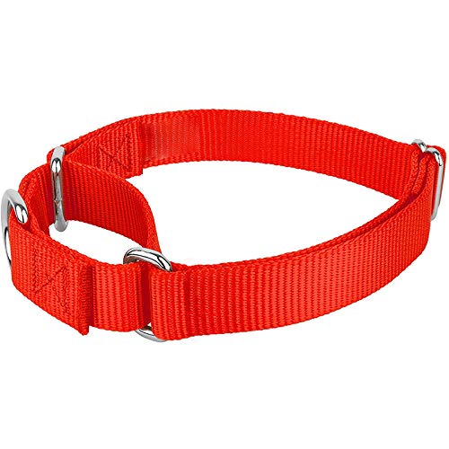 YUEHAN Collar De Perro Collar De Perro De Nailon Martingala Resistente Ajustable Suave Cómodo Collar De Mascota para Cachorros para Perros Pequeños Y Grandes Control De Traning