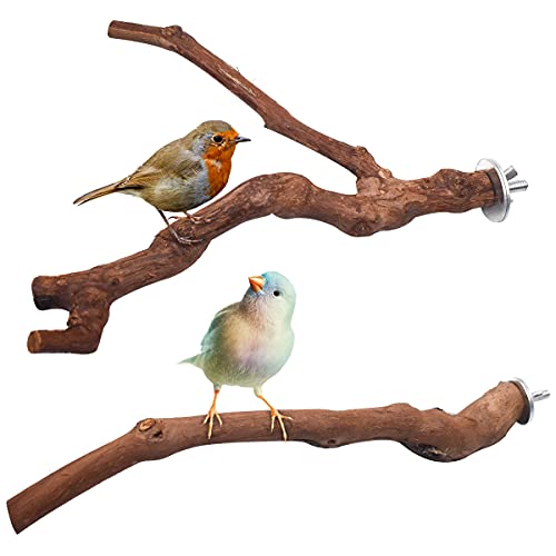 Yueser Perchas Naturales para Pájaros, 2 Piezas Madera de UVA Salvaje Percha de Madera Natural Bird Perchespara Loros de Pájaros Periquitos de Mascota Agapornis (2 Estilos)