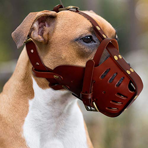 YUQIAN Collar para Mascotas Bozal para Perros Anti Mordiscos Bozal para Perros Sin Mordida Anti Ladrido Mascarilla para Mascotas para Perro Mediano Grande Pitbull Labrador, Marrón, M