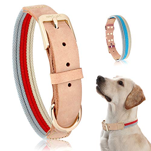 YXDZ Collar De Perro De Cuero Genuino Correas De Poliéster Collar De Perro Grande Pequeño Mediano Cómodos Collares Duraderos para Perros Azul Rojo