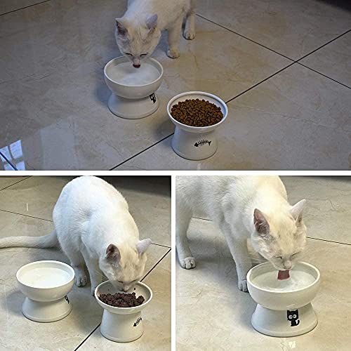 YY FOREYY Juego de Cuencos elevados de Comida y Agua para Gatos, comederos elevados de cerámica para Gatos con Banda Antideslizante, Plato de Porcelana para Mascotas con Soporte (Blanco)