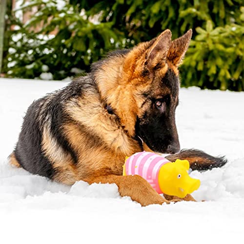 zebroau Juguetes para perros, Perro Sonido Masticando Juguete Lindo Mascota Cerdo Forma Chirriante Perro Juguetes Divertidos Gatos Jugando Gritando Cerdo Ventilación Juguetes Chirridos