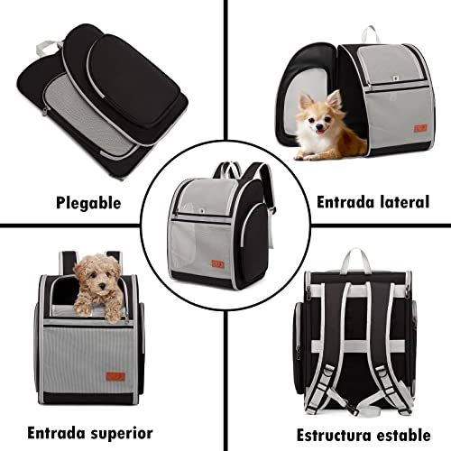 ZFSOCK Mochila Transportín Gato Perro: Mascotas Perros Pequeños Gatos Grande 10 KG Bolsa para Transportar Transpirable Plegable con Correa de Seguridad Interior para Senderismo y Viajar - Negro