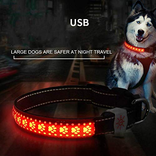 ZGRZ Perros Collar Perro Collar Reflectante para Perros Anillo Reflectante Anillo USB Cargando Tres Modos De Emisión De Luz Cuello 38-60Cm