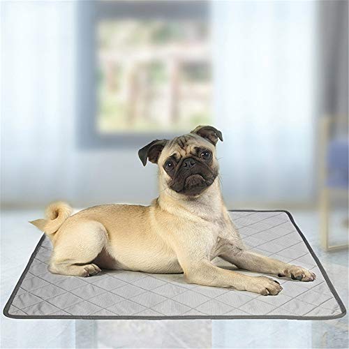 zhppac Manta Fria para Perros Manta Fria Caja Mat Perro Conejo de Mat De Perro Pet Mat Genial Perro Perro de refrigeración Perro cojín Fresco S