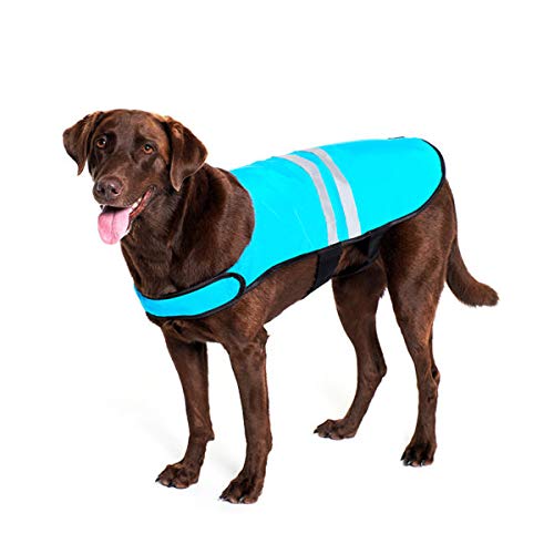 ZippyPaws - Chaleco de Seguridad para Perros con Rayas Reflectantes de Alta Visibilidad, Color Azul