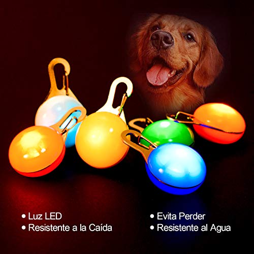 ZITFRI 6Pcs Collar LED Luz Perro, Luz Collar Luminoso Perro Impermeable, 6 Colores Luces de Seguridad para Perro Gato, Colgante LED Luz Perro Mascota para Noche, 3 Modos de Parpadeo, 6 Pilas Incluidas