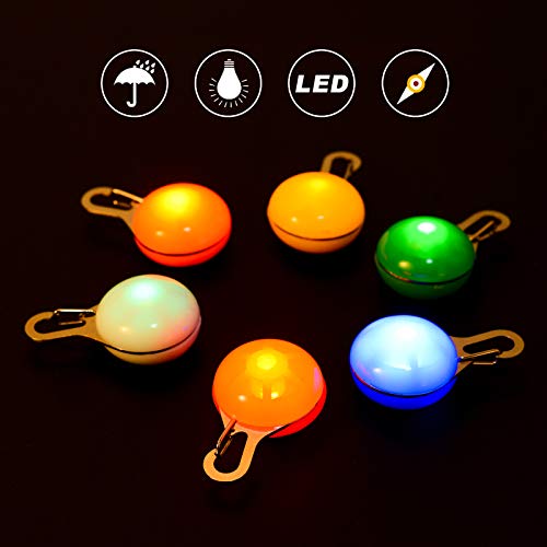 ZITFRI 6Pcs Collar LED Luz Perro, Luz Collar Luminoso Perro Impermeable, 6 Colores Luces de Seguridad para Perro Gato, Colgante LED Luz Perro Mascota para Noche, 3 Modos de Parpadeo, 6 Pilas Incluidas