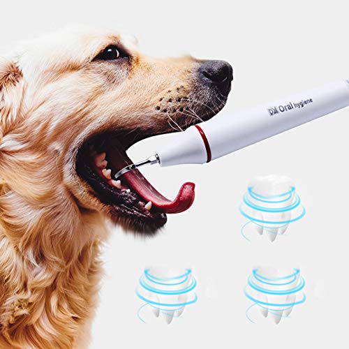 ZOOMLOFT Cepillo de Dientes Ultrasonidos para Perros Mascotas Profesional Pulidora de Dientes Eléctrica para Gatos Removedor de Sarro para el Cuidado Dental Pulidor de Dientes con 5 Cabezales