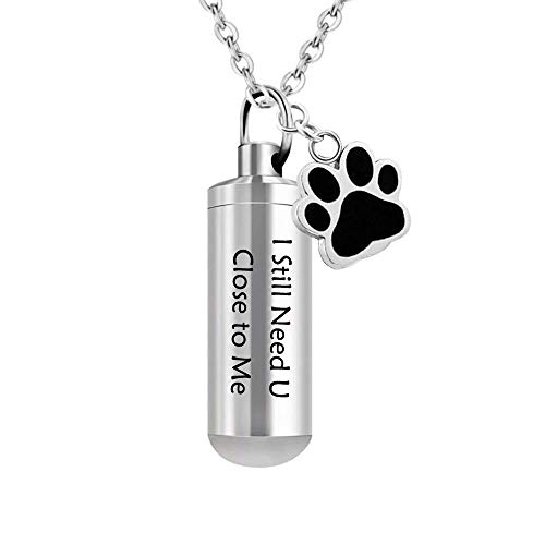 ZYYH Urna para Mascotas Regalo de pérdida de Mascotas Urna Conmemorativa Collar para Cenizas Botella Cremación Recuerdo Joyería Perro Paw Pendan