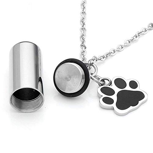 ZYYH Urna para Mascotas Regalo de pérdida de Mascotas Urna Conmemorativa Collar para Cenizas Botella Cremación Recuerdo Joyería Perro Paw Pendan