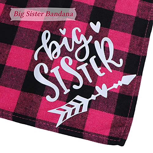 2 bandanas para perro Big Brother and Big Sister, reversibles, triángulo, a cuadros, anuncio de embarazo, cachorro, gatito, niños y niñas, accesorios para revelar género para perros pequeños