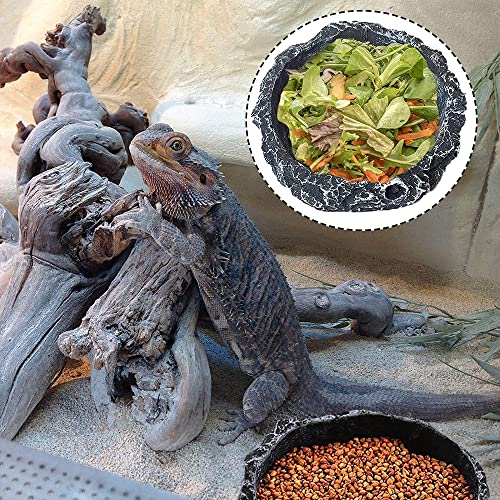 通用 2 Piezas Comedero para Reptiles, Plato de Agua para Reptiles, Recipiente de Agua de Reptil, Resina Bebedero de Reptil para Mascota, Tortuga, Lagarto, Rana, Gecko, Serpiente, Camaleón (Gris)