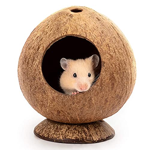 2 Piezas Nido de Pájaro para Mascota, Nido de Pájaro, Escalera de Madera Hamster, Juguetes para Masticar Hámster, para Hámsters, Ratones, Loros, Erizos, Conejillos de Indias, Periquitos, Palomas