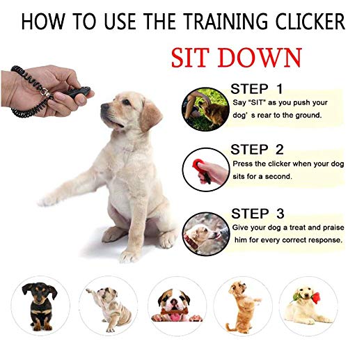 2 piezas Profesiona Silbato para Perros, de Clicker de Perro Silbato, Adiestramiento de Perros con Clicker, para Entrenamiento de Mascotas Profesional, para Perros, Gatos, Pájaros, Caballos (Negro)