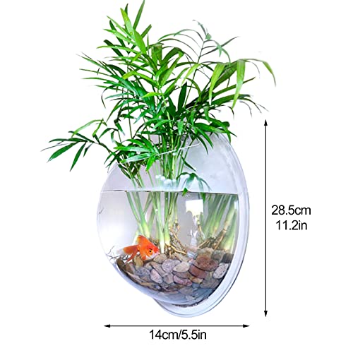 2 unidades de tanque de pescado colgante de pared, acrílico transparente con burbujas colgantes, pecera, para plantas suculentas y peces