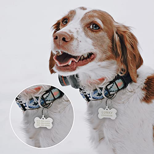 2pzs Chapa Perro Grabada, Uiopa Chapas para Perros Etiquetas de Identificación de Mascotas de Acero Inoxidable Placas Chapas Personalizadas Frontal/Posterior para Gato y Perro (Plata Hueso, Grande)