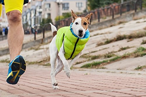 Abrigo Airyvest Reversible Ultraligero para Perro, Rosa y Morado, Talla 1 para Perro, Talla XS