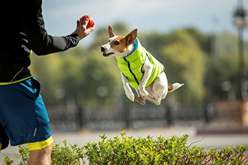 Abrigo Airyvest Reversible Ultraligero para Perro, Rosa y Morado, Talla 1 para Perro, Talla XS