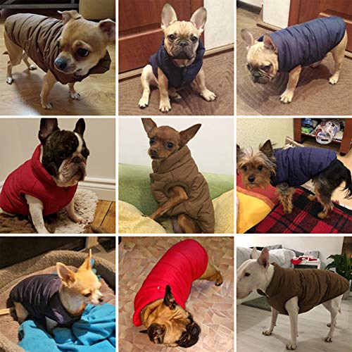 Abrigos de invierno para perros con orificio para el arnés Chaquetas impermeables para perros Abrigos cálidos de lana para perros Abrigos para perros para perros pequeños medianos grandes XS-3XL