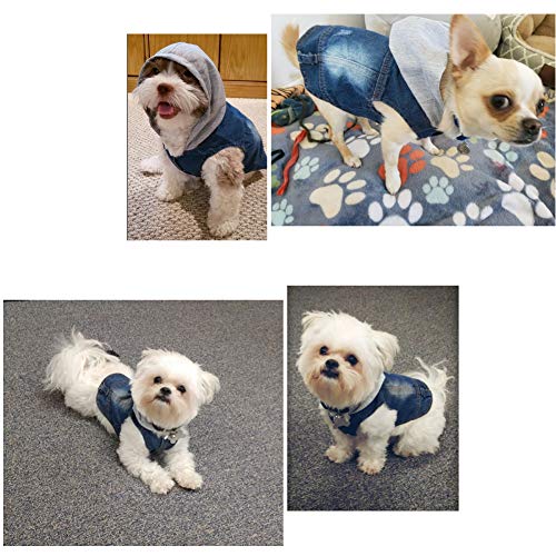 Abrlo - Chaqueta vaquera con capucha bordada, chaqueta con capucha para perro, chaqueta para 4 estaciones