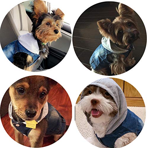 Abrlo - Chaqueta vaquera con capucha bordada, chaqueta con capucha para perro, chaqueta para 4 estaciones