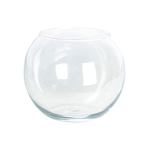 Acan Pecera de Vidrio Redonda de 22 x 25 cm, Especial para Peces pequeños, con diseño Bonito y Elegante. Recipiente de Cristal válido para Uso con Animales o como decoración con Piedras o gravilla.