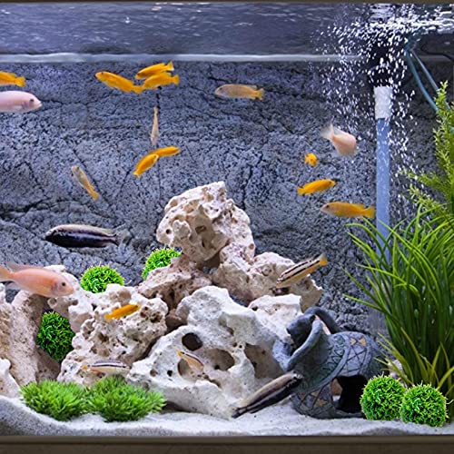 adgbd 2pcs Acuario Bola De Musgo ，Marimo Moss Balls ，Tanque De Agua Plantas Acuáticas Decoración，Estéticamente Hermoso, Bajo Mantenimiento Y Frena El Crecimiento De Algas