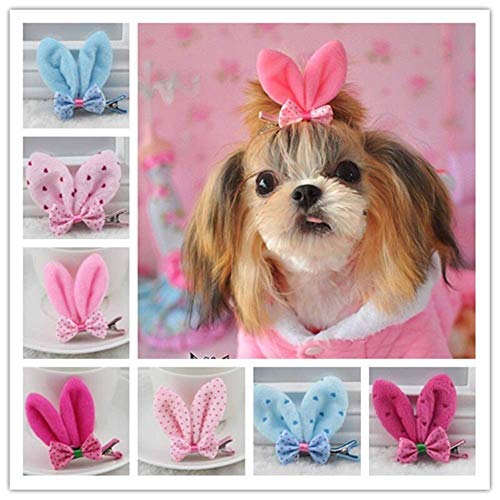 ADSE Accesorios para el Cuidado de Mascotas Estilo de Conejito Perros Sombreros Horquilla Flor de Yorkshire Pinza para el Cabello Venta Linda Accesorios Lindos pequeños (Color: Rosa, 5 Piezas)