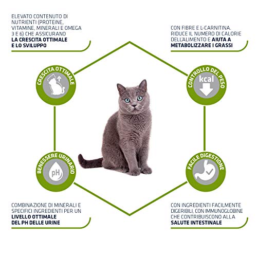 Advance Junior Sterilized - Pienso para gatos esterilizados de hasta 2 años de edad - 1.5 kg x 4