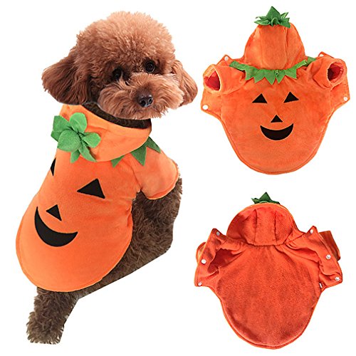 AIYUE® Ropa Mascotas Traje Disfraz Halloween Navidad Perros Pequeños Sudadera Capucha Abrigo Chaqueta Invierno Otoño Cachorros Camiseta para Perritos Gatos