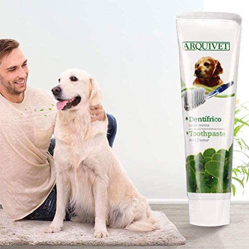 Akemaio Los Dientes del Perro Productos de Limpieza del Perro casero de Pasta de Dientes Cepillo de Dientes Kit Dental Care Clean Kit de Dientes para Perros Gatos