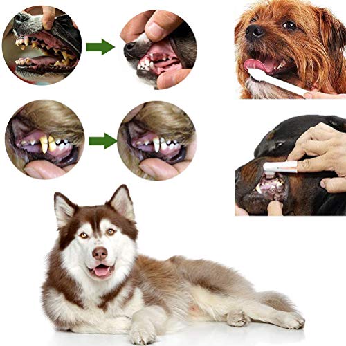 Akemaio Los Dientes del Perro Productos de Limpieza del Perro casero de Pasta de Dientes Cepillo de Dientes Kit Dental Care Clean Kit de Dientes para Perros Gatos