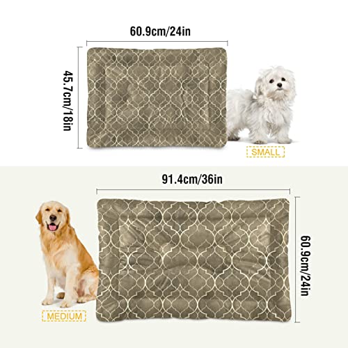 Alfombra de cama de color dorado con líneas geométricas doradas, para perros y gatos, cojín de colchón suave para mascotas pequeñas y medianas, antideslizante, lavable y seco, 36 x 24 pulgadas