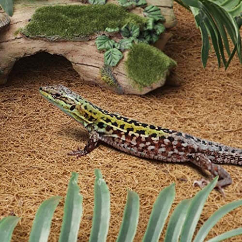 Alfombra De Reptil Mat De Fibra De Coco Natural Pet Terrarium Forro Reptil Suministros para Tortugas De Dragon Barbudo Tortugas De Iguana L Decoracion del Habitat De La Mascota