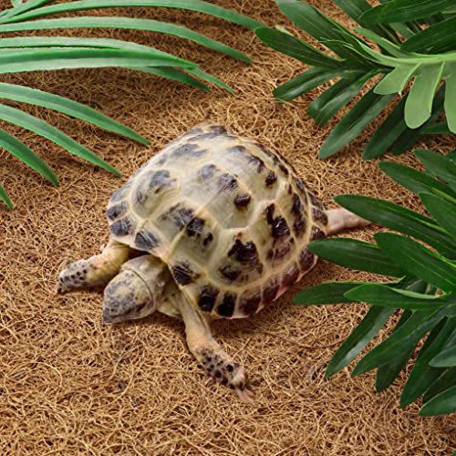 Alfombra De Reptil Mat De Fibra De Coco Natural Pet Terrarium Forro Reptil Suministros para Tortugas De Dragon Barbudo Tortugas De Iguana L Decoracion del Habitat De La Mascota