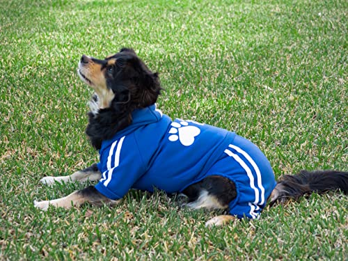 All Dogs ® Chándal para Perros. Sudadera con Capucha y pantalón de chándal, 4 Patas. Tejido de algodón Suave y cálido. (Small, Azul)