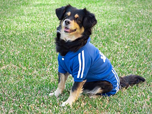 All Dogs ® Chándal para Perros. Sudadera con Capucha y pantalón de chándal, 4 Patas. Tejido de algodón Suave y cálido. (Small, Azul)