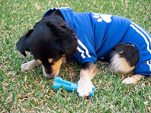 All Dogs ® Chándal para Perros. Sudadera con Capucha y pantalón de chándal, 4 Patas. Tejido de algodón Suave y cálido. (Small, Azul)