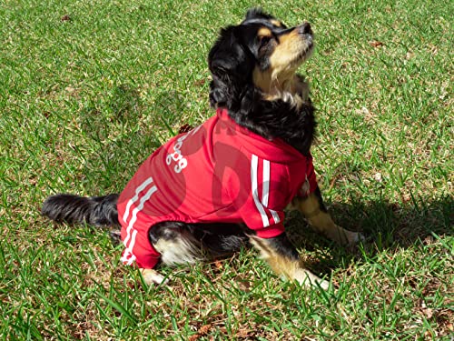 All Dogs ® Chándal para Perros. Sudadera con Capucha y pantalón de chándal, 4 Patas. Tejido de algodón Suave y cálido. (Small, Rojo)