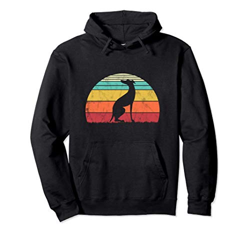 Amante de los perros Galgos Greyhound Vintage Sudadera con Capucha