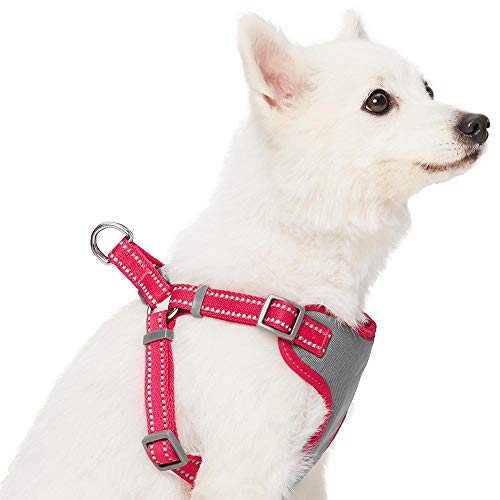 Amazon Brand - Umi Pastel - Arnés Tipo Chaleco para Perros Reflectante M, Contorno del Pecho 56-66 cm, arneses Ajustables para Perros (Morado)