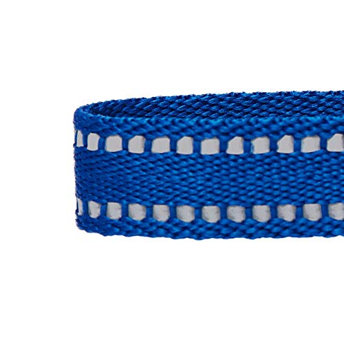 Amazon Brand - Umi Pastel - Collar para Perros S, Cuello 30-40 cm, Collares Ajustables para Perros (Azul Marino)